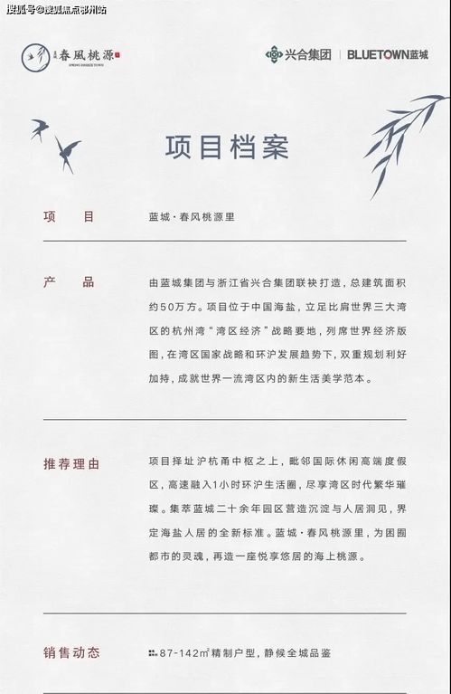 网络与信息安全软件开发 守护数字世界的隐形盾牌